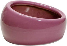 Load image into Gallery viewer, Living World Ergonomic Ceramic Hedgehog Food Dish