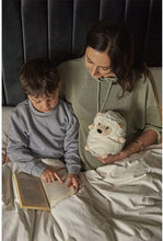 Load image into Gallery viewer, Hedgehog Warmies — Heatable Lavender Scented Stuffed Animal