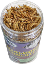 Load image into Gallery viewer, Exotic Nutrition Hedgehog Treat — Mealworm Munchies