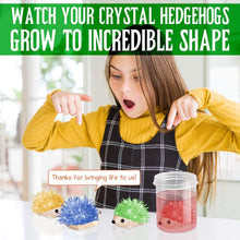 Load image into Gallery viewer, Hedgehog Crystal Growing Kit for Kids