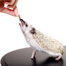 Load image into Gallery viewer, Exotic Nutrition Hedgehog Treat — Mealworm Munchies