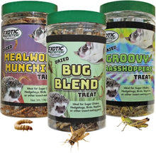 Load image into Gallery viewer, Exotic Nutrition Hedgehog Treat — Dried Bug Blend