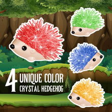 Load image into Gallery viewer, Hedgehog Crystal Growing Kit for Kids