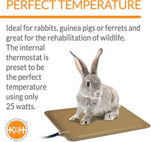 Load image into Gallery viewer, K&H Electric Heated Pad for Hedgehogs