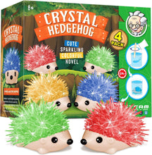 Load image into Gallery viewer, Hedgehog Crystal Growing Kit for Kids