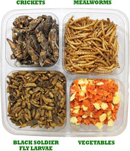 Load image into Gallery viewer, Exotic Nutrition Hedgehog Treat — Variety Pack