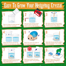 Load image into Gallery viewer, Hedgehog Crystal Growing Kit for Kids