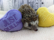 Load image into Gallery viewer, Hedgehog Toy Cage Buddy — Candy Hearts Valentine's Day Fleece Stuffie