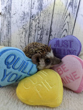 Load image into Gallery viewer, Hedgehog Toy Cage Buddy — Candy Hearts Valentine's Day Fleece Stuffie