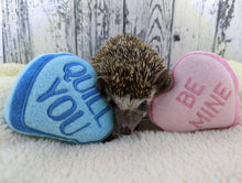 Load image into Gallery viewer, Hedgehog Toy Cage Buddy — Candy Hearts Valentine's Day Fleece Stuffie