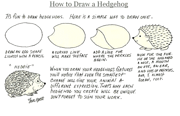 How to Draw a Hedgehog by Jan Brett starring Astro the Hedgehog