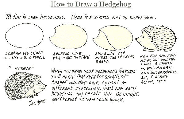 How to Draw a Hedgehog by Jan Brett starring Astro the Hedgehog