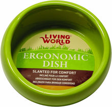 Load image into Gallery viewer, Living World Ergonomic Ceramic Hedgehog Food Dish
