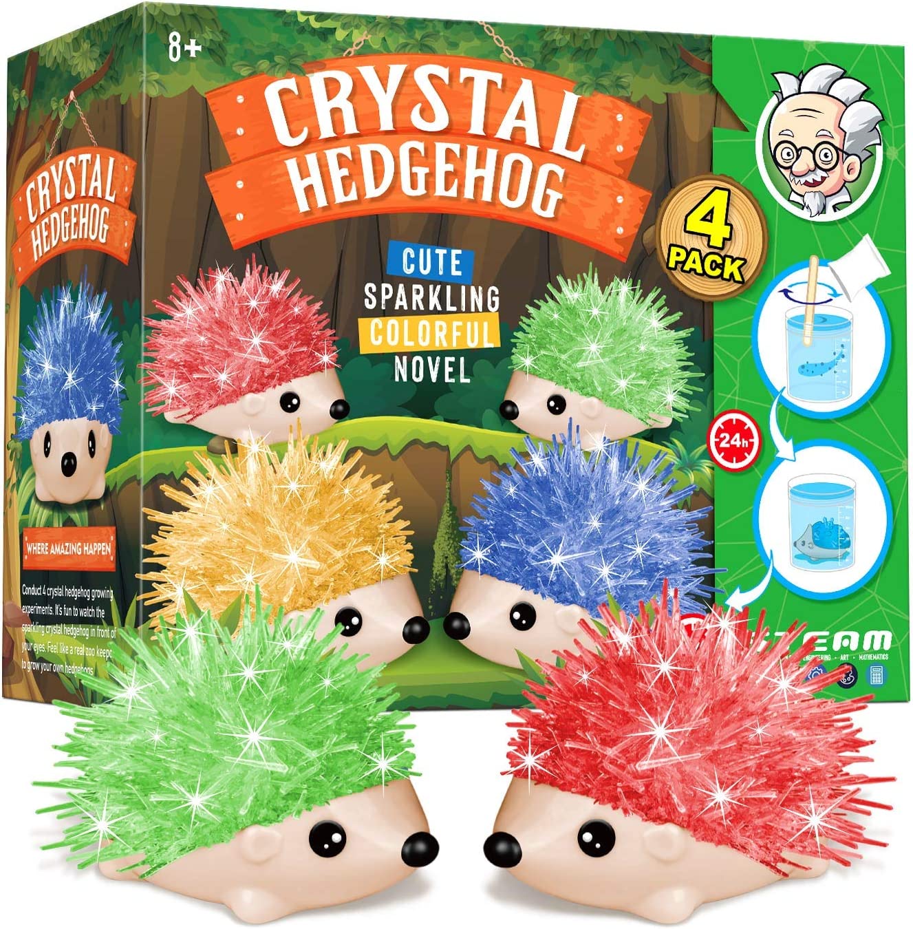 Hedgehog Crystal Growing Kit for Kids