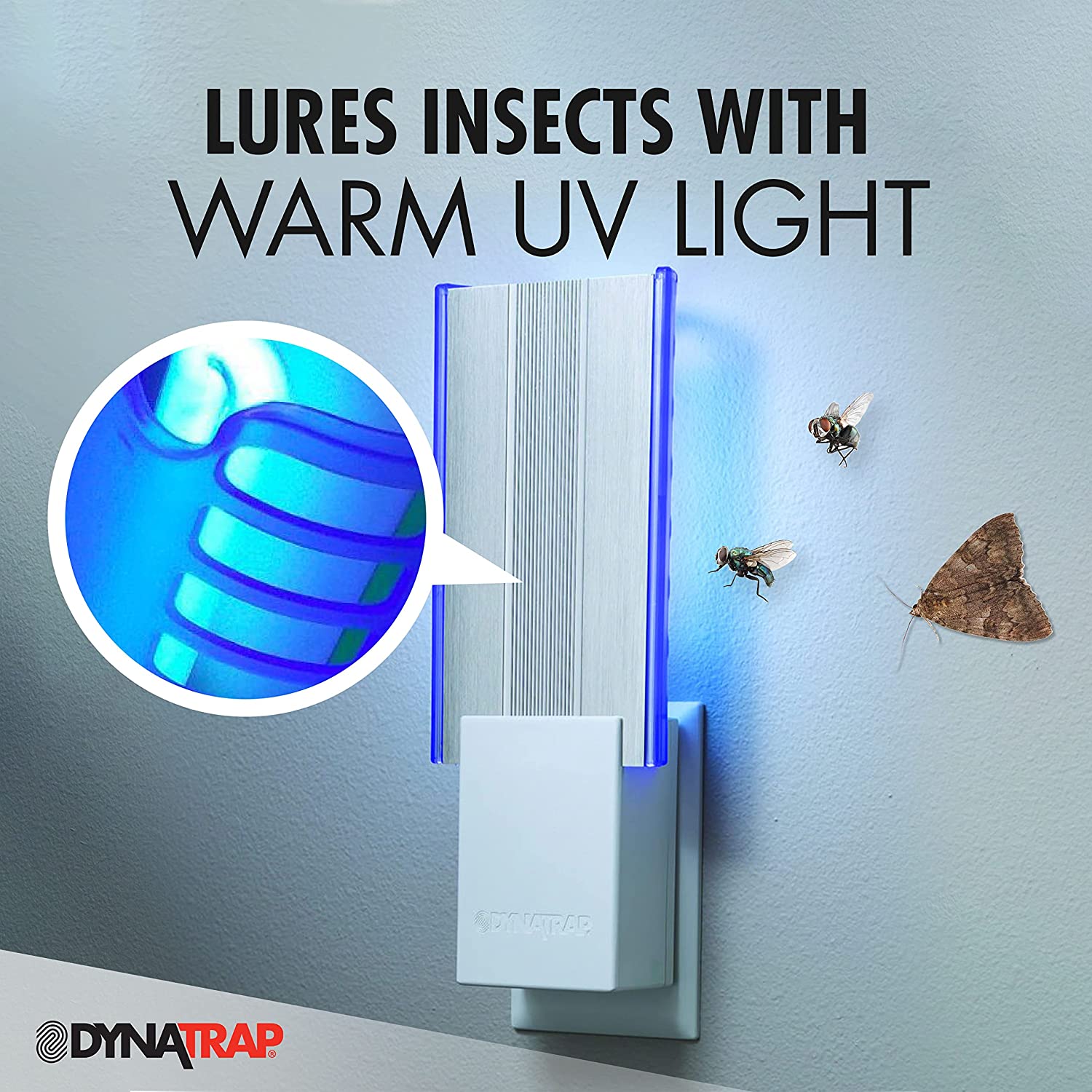 DynaTrap Flylight Indoor Plug-In Fly Trap for Flies, Fruit Flies