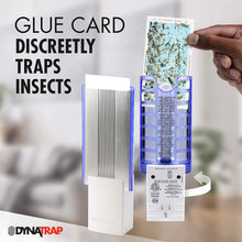 Load image into Gallery viewer, DynaTrap Flylight Indoor Plug-In Fly Trap for Flies, Fruit Flies, Moths, Gnats, &amp; Other Flying Insects — Protects up to 600 sq ft
