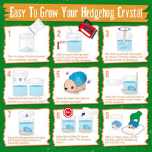 Load image into Gallery viewer, Hedgehog Crystal Growing Kit for Kids
