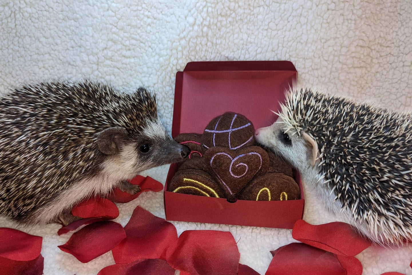 Hedgehog Toy Cage Buddy — Valentine's Day Chocolate Snuffles Duos Mint and More Fleece Candy Truffles